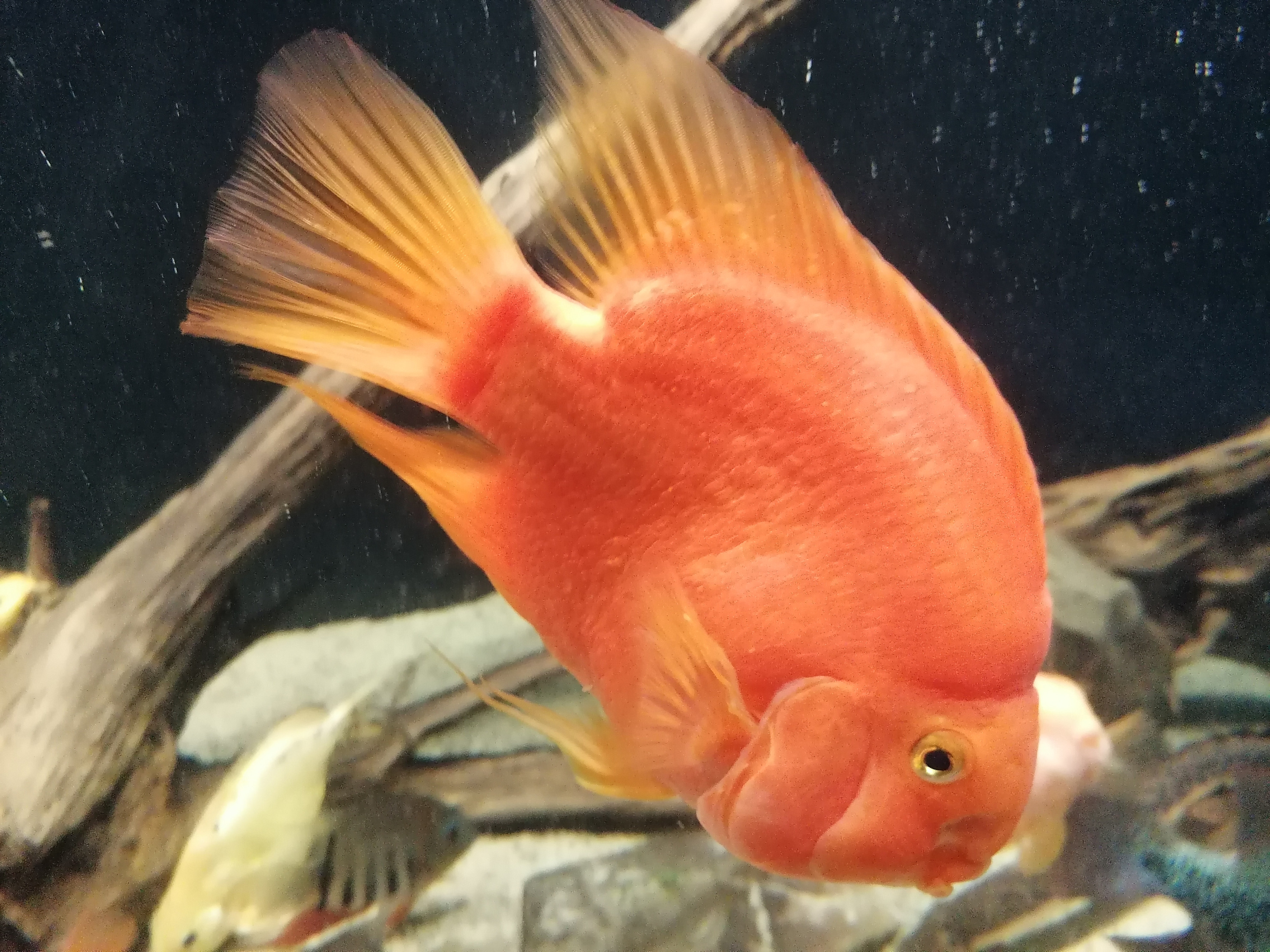 VODN MINIZOO BAKA VODA CZ