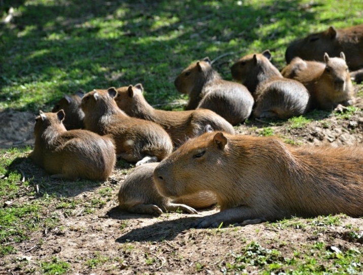 ZOO LEN U ZLNA