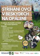 Sthn ovc v Beskydech