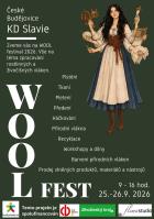 Vln�n� festival - WOOL FEST